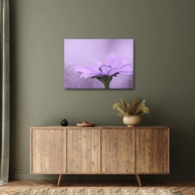 Obraz - Fioletowy kwiat (70x50 cm)