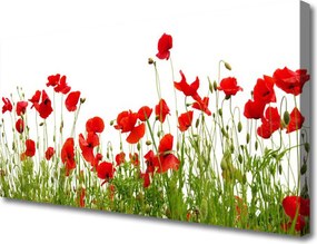 Duży obraz na płótnie Molo o Złotej Godzinie