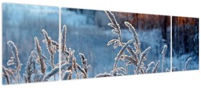 Obraz - Zimowa łąka (170x50 cm)