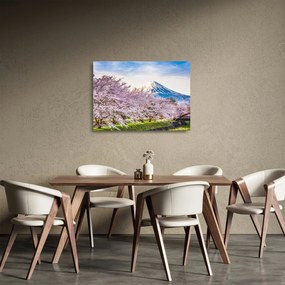 Obraz na szkle - Japonia wiosną (70x50 cm)