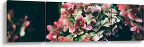 Obraz - Fragment Hortensji (170x50 cm)