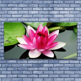 Obraz canvas Subtelna Natura w Kwiatach