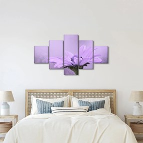 Obraz - Fioletowy kwiat (125x70 cm)
