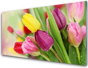 Szkło do Kuchni na Ścianę Tęczowy Bukiet Tulipanów
