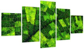 Obraz - Detal liścia (125x70 cm)