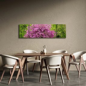 Obraz kwitnącego drzewa na łące (170x50 cm)