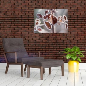 Obraz - Szczegół liści (70x50 cm)