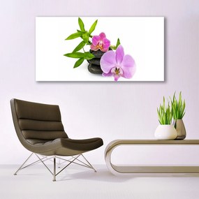 Obraz canvas Klasyczna Biała Orchidea