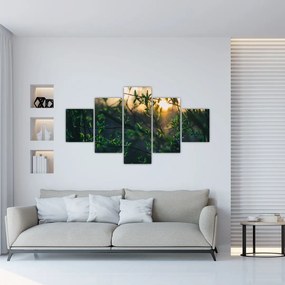 Obraz słońca przeświecającego przez gałęzie drzew (125x70 cm)