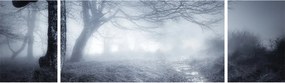 Obraz- Droga we mgle (170x50 cm)