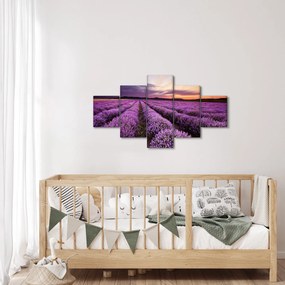 Obraz - Pole lawendy o zachodzie słońca (125x70 cm)