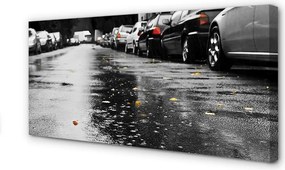 Zdjęcie na płótnie Samochód na Jesiennej Drodze