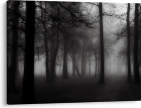 Obraz - Las we mgle (70x50 cm)