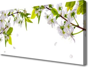 Obraz canvas na ścianę Makro Płatków Kwiatów