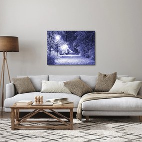 Obraz - Magiczna zimowa noc (70x50 cm)