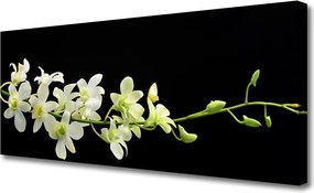 Duży obraz na płótnie Polne Kwiaty w Rozkwicie