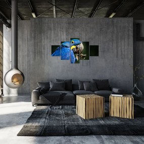 Obraz papugi (125x70 cm)