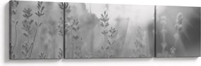 Obraz - Lawenda (170x50 cm)