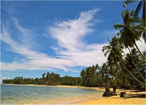 Obraz plaży (70x50 cm)