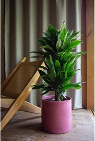 Ceramiczna ręcznie wykonana osłonka na doniczkę ø 18 cm Fortuna – Artevasi