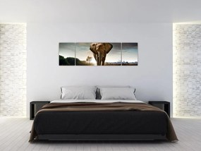 Obraz słonia (170x50 cm)