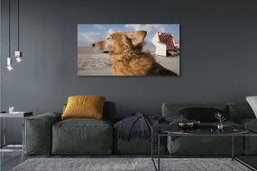 Obraz canvas na ścianę Brązowy Pies na Plaży