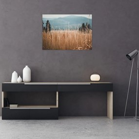 Obraz - szczegół łąki (70x50 cm)