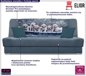 Szara rozkładana wersalka z motywem piesków - Piovia 30X