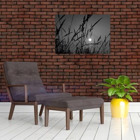 Obraz na szkle - Łąka z zachodem słońca (70x50 cm)