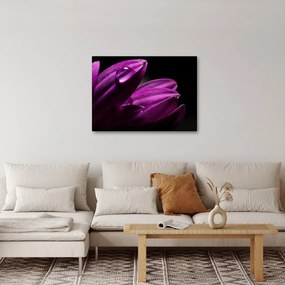 Obraz  - Kropla wody (70x50 cm)