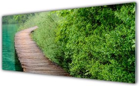 Panel Szklany Drewniany Mostek W Lesie