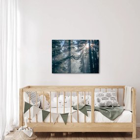 Obraz drzew, przez które prześwieca słońce (70x50 cm)