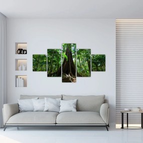Obraz - Korzenie drzewa (125x70 cm)