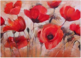 Obraz - Wilcze maki (70x50 cm)