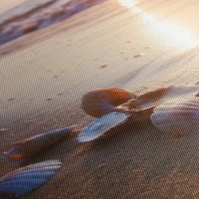 Obraz - Małże (170x50 cm)