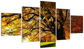 Obraz jesiennego drzewa (125x70 cm)