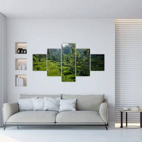 Obraz tarasów ryżowych Tegalalang, Bali (125x70 cm)