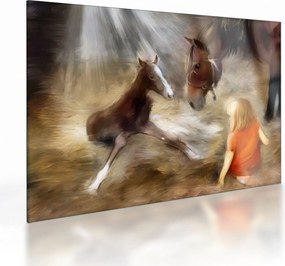 Obraz na szkle - Witaj na świecie, źrebaku (70x50 cm)