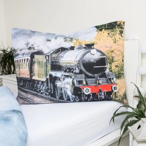Bawełniana pościel dziecięca jednoosobowa 140x200 cm Train – Jerry Fabrics