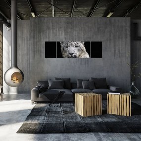 Obraz - Snow Leopard (170x50 cm)