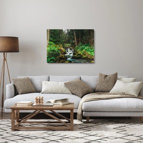 Obraz na szkle strumienia w lesie (70x50 cm)