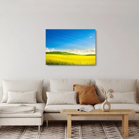Obraz na szkle - Wiosenne niebo (70x50 cm)
