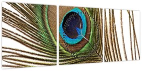 Obraz pawich piór (z zegarem) (90x30 cm)
