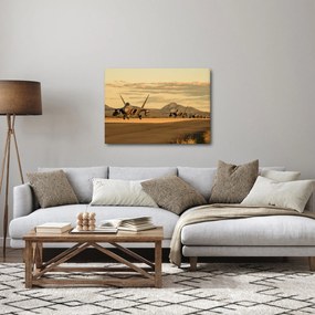 Obraz - Siły Powietrzne (70x50 cm)