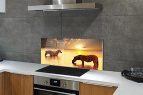 Szklany Panel Zebry przy Wodopoju o Zmierzchu