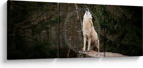 Obraz - Wycie wilka (z zegarem) (90x30 cm)