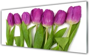 Panel Kuchenny Wiosenne Pole Tulipanów