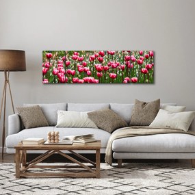 Obraz tulipanów (170x50 cm)