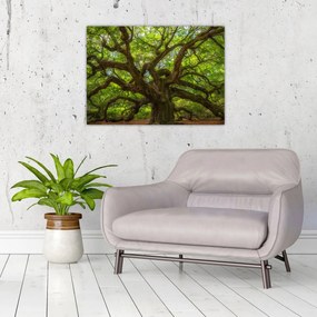 Obraz - Zielone drzewo (70x50 cm)