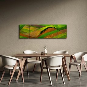 Obraz - Pola, łąki (170x50 cm)